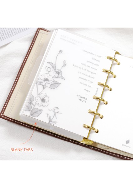 Sağ Sekmeler - 3 Adet A7-80X120MM Mypretties Buzlu Pp Sekme Bölücüler A7 A6 6 Delikli Gevşek Yaprak Defter Düzenleyici Iç Sayfalar Için Yedekler N.1437 (Yurt Dışından) fırsatları