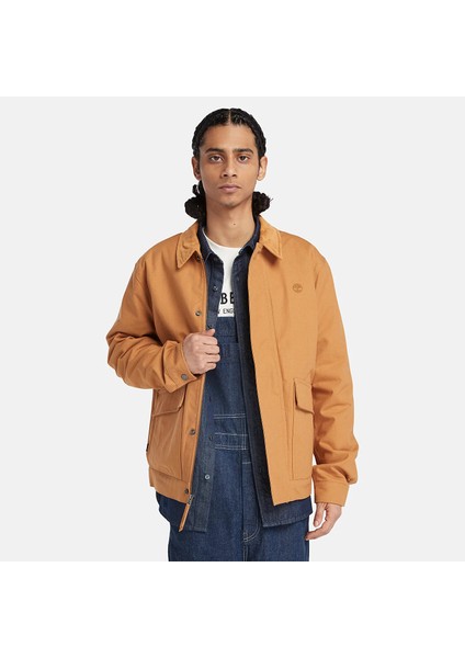 Strafford Insulated.-