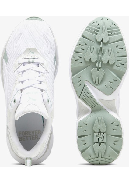 Phlox.01 fırsatları