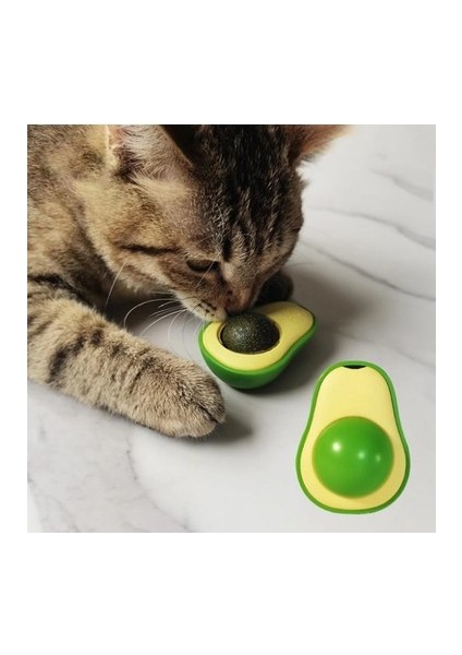 Avokado Catnipli Kedi Çimi Topu fiyatları