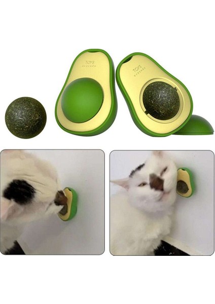 Avokado Catnipli Kedi Çimi Topu modelleri