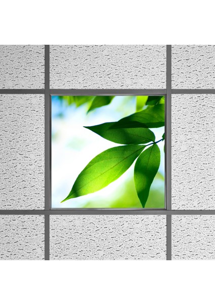 60X60 LED Panel Aydınlatma Armatür Avize Sıva Altı Desenli Tekli 46510103SA fırsatları