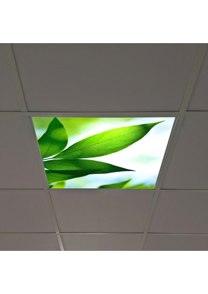 60X60 LED Panel Aydınlatma Armatür Avize Sıva Altı Desenli Tekli 46510103SA
