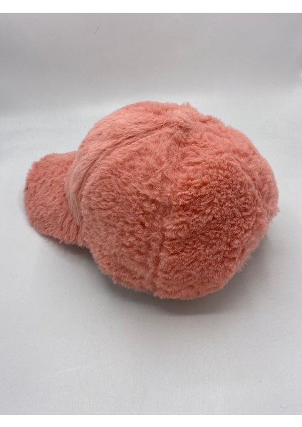 Kadın Kışlık Peluş Şapka Kep Trendy Baseball Cap fiyatları