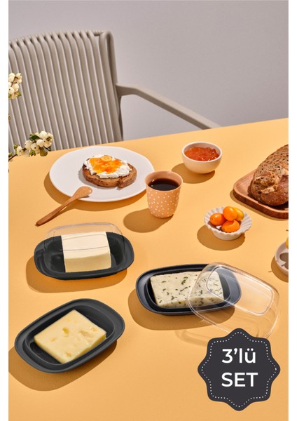 3lü Şeffaf Kapaklı Kahvaltılık Saklama Kabı Antrasit