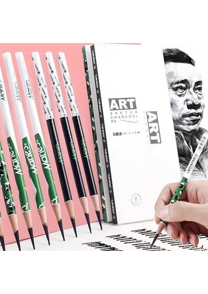 Sert 12 Adet Profesyonel Çizim Eskiz Kalem Seti, 12 Parça Sanat Kalemleri Yeni Başlayanlar Pro Sanatçılar Için Grafit Gölgeleme Kalemleri (Yurt Dışından)