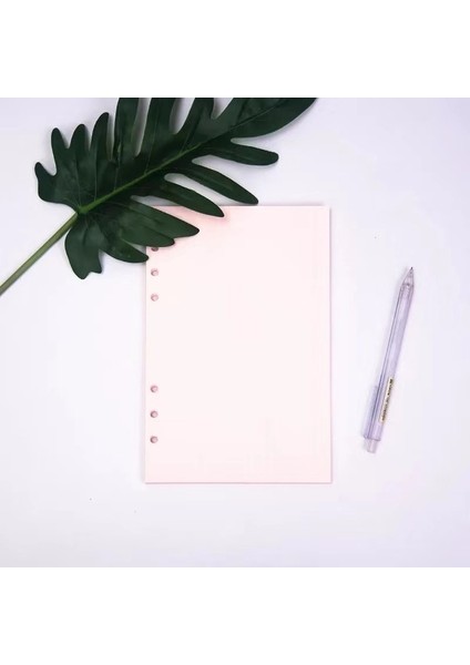 40 Sayfa Izgara Pembe A6 9.7X17CM A5 A6 Gevşek Yaprak Defter Dolum Kağıdı 40 Yaprak Renkli Sayfa 6 Delikli Standart Ciltleyici Günlük Dergisi Gündem Kağıdı Okul Kırtasiye (Yurt Dışından)