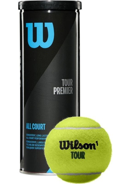 Tenis Topu Tour Premier All Ct 3 Lü WRT109400