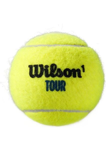 Tenis Topu Tour Premier All Ct 3 Lü WRT109400