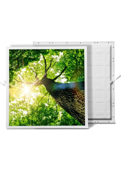 60X60 LED Panel Aydınlatma Armatür Avize Sıva Altı Desenli Tekli 46510172SA