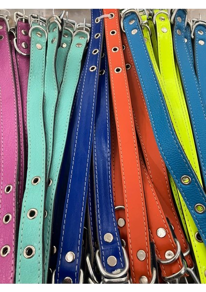 Küçük Irk Suni Neon Renkli Deri Tasma fiyatları