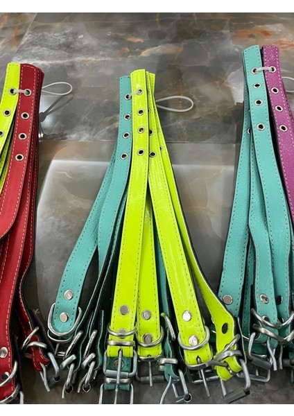 Küçük Irk Suni Neon Renkli Deri Tasma modelleri