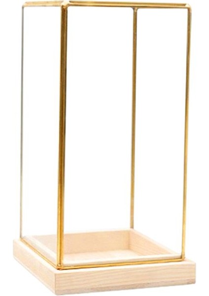 Cuboid Illüstrasyon Cam Dekoratif Teraryum Teşhir I - Golden Clear, S (Yurt Dışından)