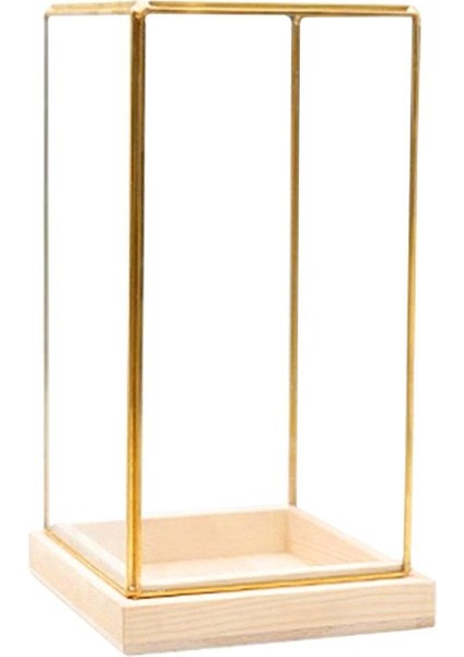 Cuboid Illüstrasyon Cam Dekoratif Teraryum Teşhir I - Golden Clear, S (Yurt Dışından) fiyatları