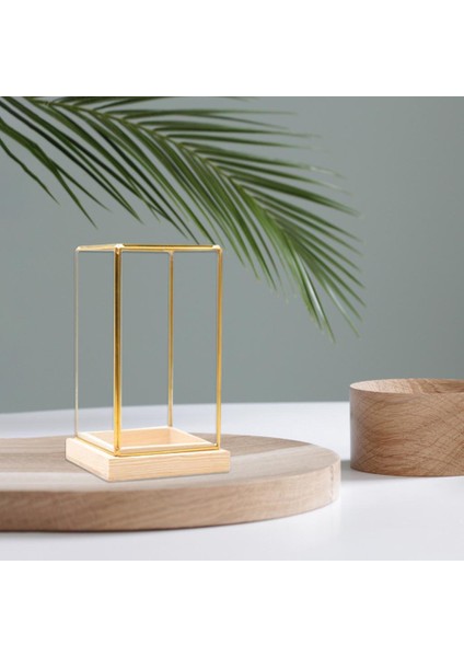 Cuboid Illüstrasyon Cam Dekoratif Teraryum Teşhir I - Golden Clear, S (Yurt Dışından) modelleri