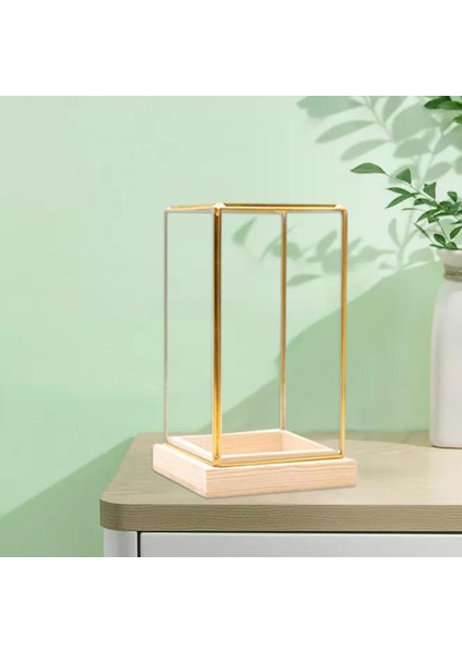 Cuboid Illüstrasyon Cam Dekoratif Teraryum Teşhir I - Golden Clear, S (Yurt Dışından) fırsatları