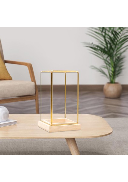 Cuboid Illüstrasyon Cam Dekoratif Teraryum Teşhir I - Golden Clear, S (Yurt Dışından) indirimleri