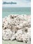 – Natural Coral Reef Rock – Doğal Resif Kayası – 18,14 kg 2