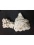 – Natural Coral Reef Rock – Doğal Resif Kayası – 18,14 kg 3