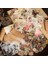 D-Fairy Dans 80 Adet Malzeme Kağıt Çiçek Günlüğü Destek El Yazısı Yazma Karalama Defteri Okul Ingilizce Tedarikçisi Scrapbooking Defterleri 167*95 mm (Yurt Dışından) 2