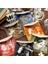Stil 4 10 Adet Ajur Kabartmalı Vintage Bitki Çiçek Kolaj Kartı Diy Malzeme Kağıt Sanat El Kitabı Dekoratif Etikel Önemsiz Günlük Planlayıcısı (Yurt Dışından) 2