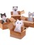 20 Adet Rastgele Göndermek 20 Adet Kırtasiye 3D Karikatür Yapışkan Notlar Kawaii Scrapbooking Kedi Kutusu Çıkartmalar Ofis Okul Öğrenci Çocuk Malzemeleri Bloknot (Yurt Dışından) 2