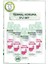 Mineral Termal Koruma Sprey Deodorant 150 ml x 5 Adet 1