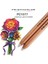 2pc 935 2pcs Prismacolor Premier Renksiz Blender Kalem PC1077 Renkli Kurşun Kalem Sanat Eserlerinin Kenarlarını Karıştırmak ve Yumuşatmak Için Mükemmel (Yurt Dışından) 4