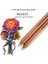 2pc 935 2pcs Prismacolor Premier Renksiz Blender Kalem PC1077 Renkli Kurşun Kalem Sanat Eserlerinin Kenarlarını Karıştırmak ve Yumuşatmak Için Mükemmel (Yurt Dışından) 4