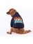 Lacivert Monster Polarlı Küçük Irk Köpek Fermuarlı Sweatshirt 1