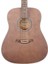 MAG-41M-TBK Trans Black Akustik Gitar 1