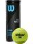 Tenis Topu Tour Premier All Ct 3 Lü WRT109400 1