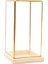 Cuboid Illüstrasyon Cam Dekoratif Teraryum Teşhir I - Golden Clear, S (Yurt Dışından) 1