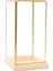 Cuboid Illüstrasyon Cam Dekoratif Teraryum Teşhir I - Golden Clear, S (Yurt Dışından) 2