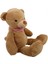 Oyuncak Fularlı Favori Ayı 50 cm Uyku ve Oyun Arkadaşı Peluş Oyuncak Sevimli Ayıcık 5