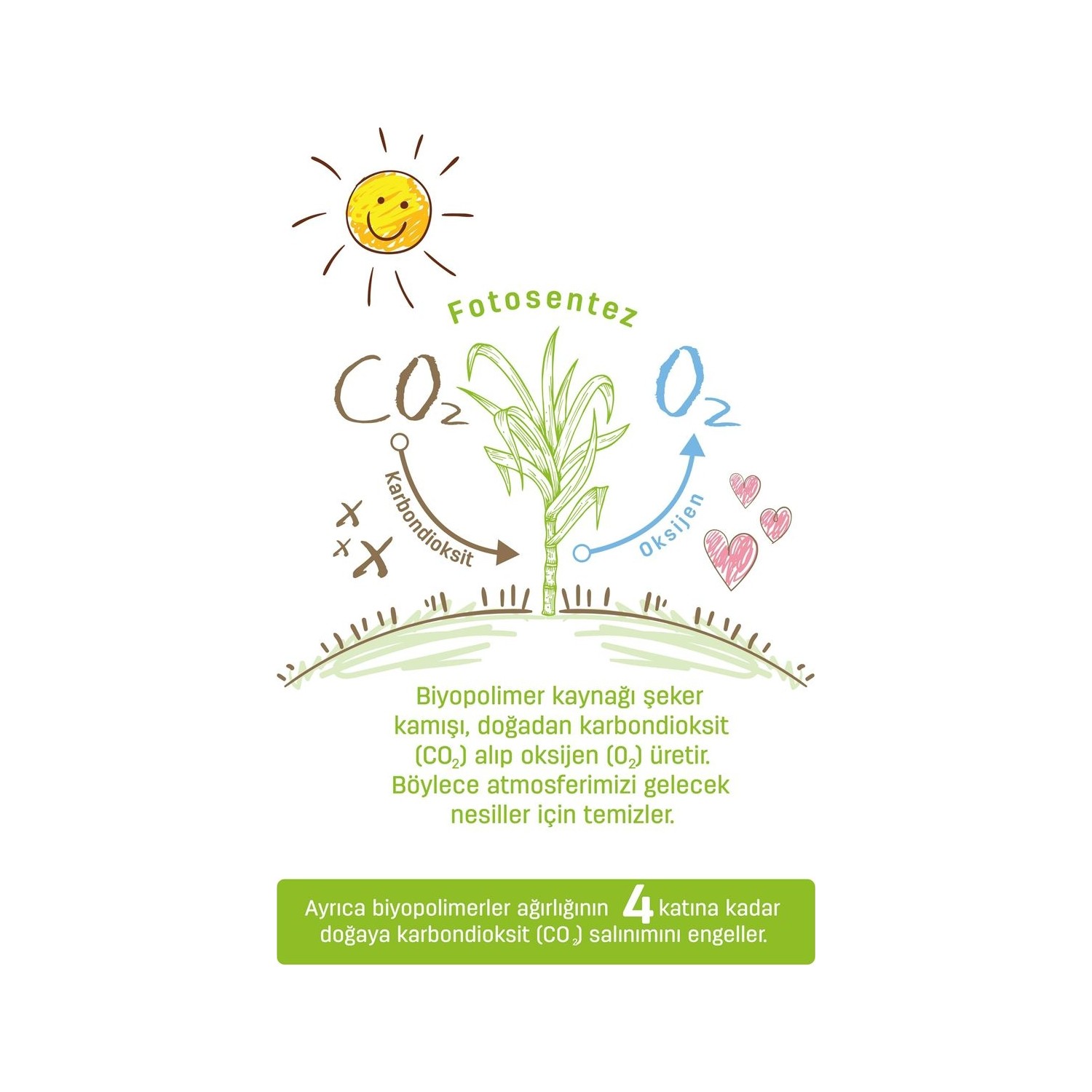 Sleepy Bio Natural Bebek Bezi 5 Numara Junior 20 Adet