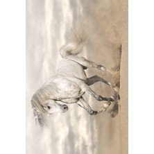 Modanoiva Kaymaz Dot Taban Yıkanabilir  Dijital Baskı Beyaz At Desenli Salon Halısı 80 x 120