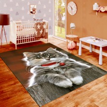Modanoiva Kaymaz Dot Taban Yıkanabilir  Dijital Baskı Kedi Desenli Salon Halısı 80 x 100