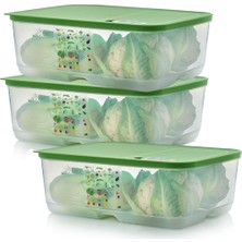 Tupperware Sera Buzdolabı Saklama Kabı ( 3 x 9.9 Lt )
