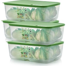 Tupperware Sera Buzdolabı Saklama Kabı ( 4 x 9.9 Lt )