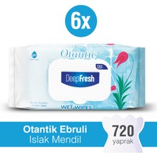 Deep Fresh Otantik Islak Mendil Ebruli 6 x 120 Yaprak