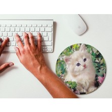 Wuw Yavru Kedi Yuvarlak Mouse Pad Renkli