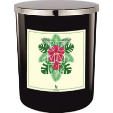 Lyn Home Siyah Bardak Mum Bahar Serisi