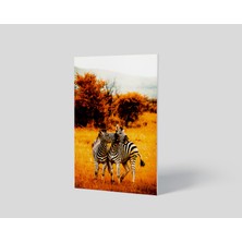 Dekorbi Blok Tablo | Zebra's 48×69