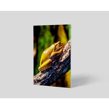 Dekorbi Blok Tablo | Frog 48×69