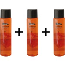 Ilgaz 400 ml 60° 3'lü Pet Tütün Kolonyası