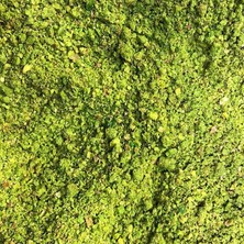 Fıstık Net Toz İç (Boz İçten Çekilmiş) Antep Fıstığı 650 gr