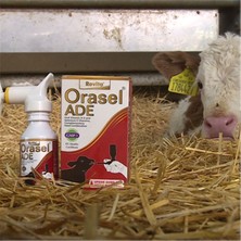Royal Orasel Ade 100 cc