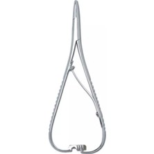 Forvet Toryum Portegueı 20 cm