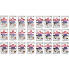 Royal Canin Sterilised Gravy Soslu ve Jelly 85 gr 12+12 (24 Adet)